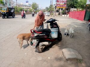 The fountain of Mamtva is flowing in the form of Janhvi on the streets of Chhatrapati Sambhajinagar