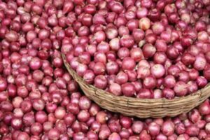 Export ban on onion lifted