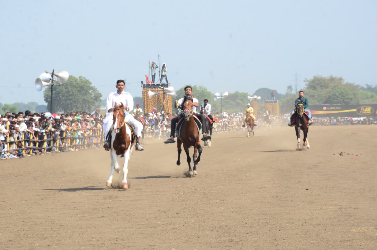 अश्वचाल, रेवाल चाल स्पर्धा उत्साहात