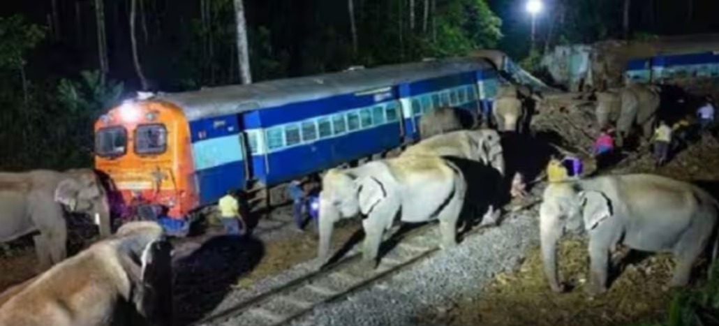 राजधानी एक्स्प्रेसच्या अपघातात सात हत्तींचा मृत्यू: इंजिनसह रेल्वेचे पाच डबे रुळावरून घसरले